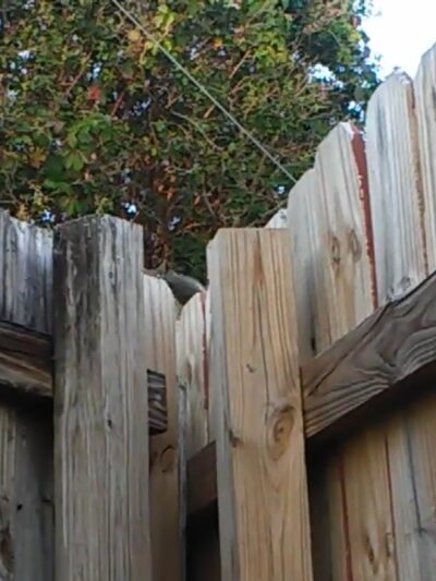 Maddock Park - Lantana, FL