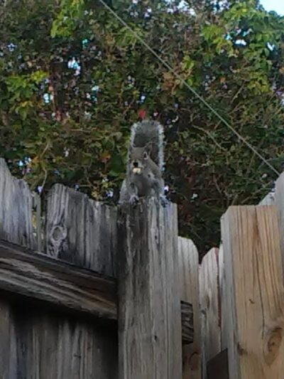 Maddock Park - Lantana, FL