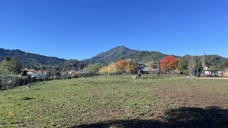 Dog Park | Piper Park - Larkspur, CA