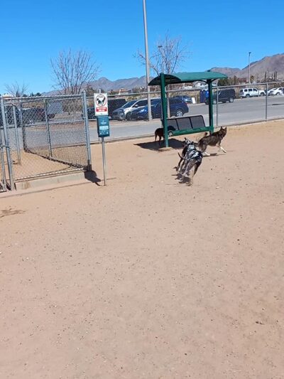Las Cruces Dog Park - Las Cruces, NM