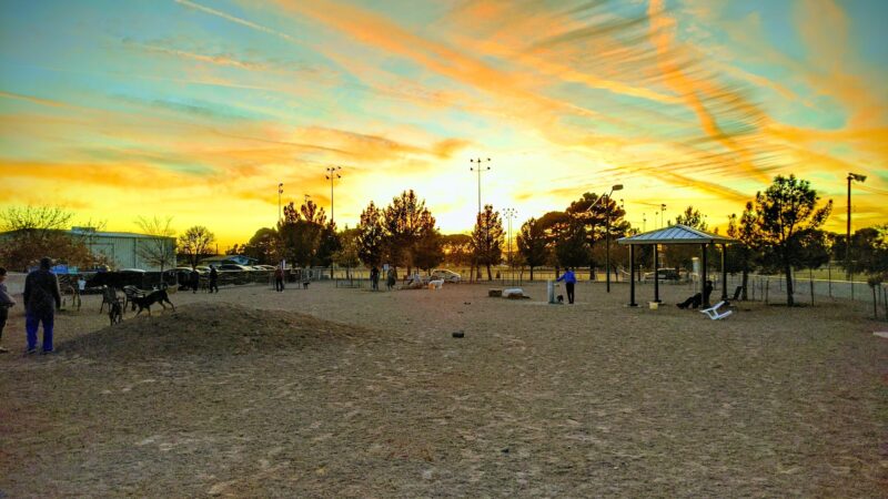 Las Cruces Dog Park - Las Cruces, NM
