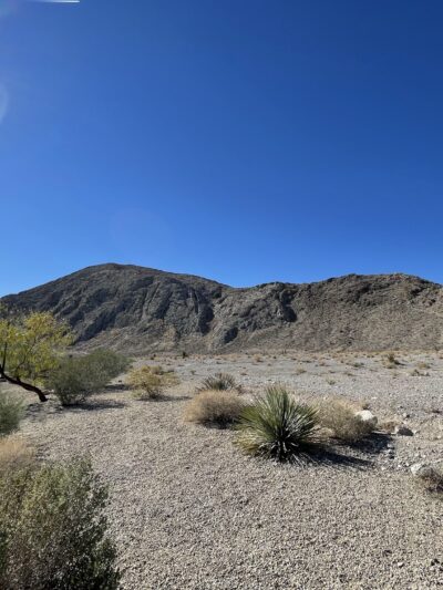 Lone Mountain Regional Park - Las Vegas, NV