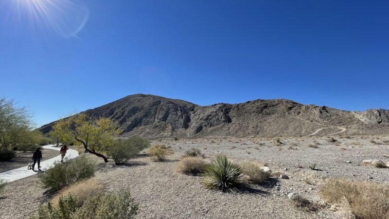 Lone Mountain Regional Park - Las Vegas, NV
