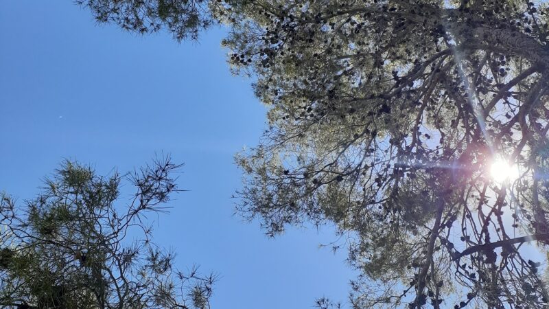 Ravenwood Park - Las Vegas, NV