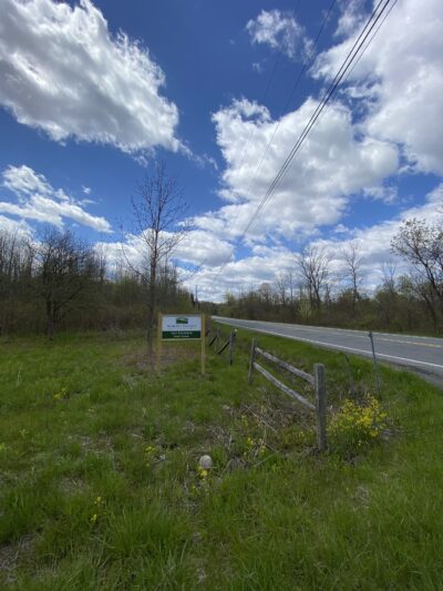 Fox Preserve - Latham, NY