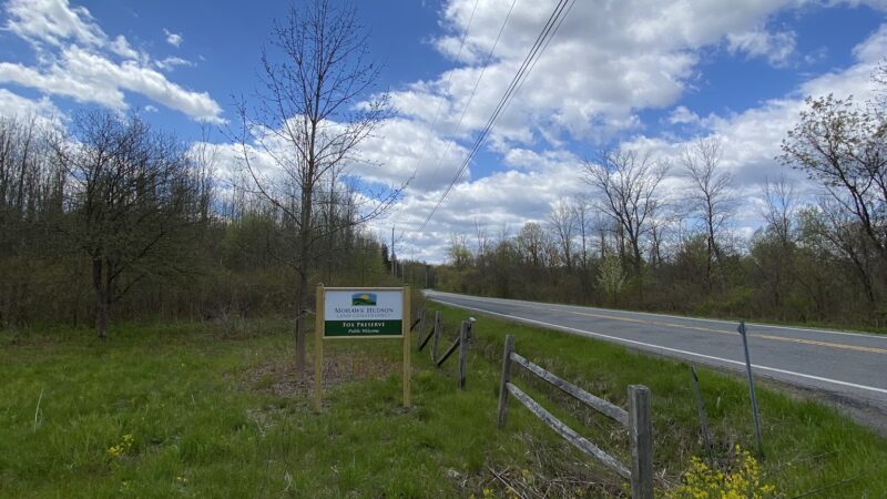 Fox Preserve - Latham, NY