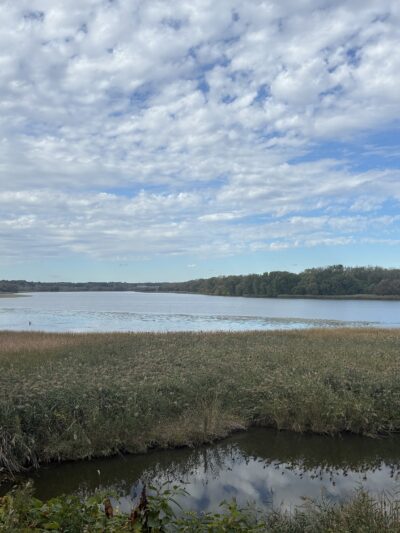 Fox Preserve - Latham, NY