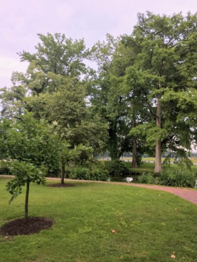 Janosik Park - Laurel, DE