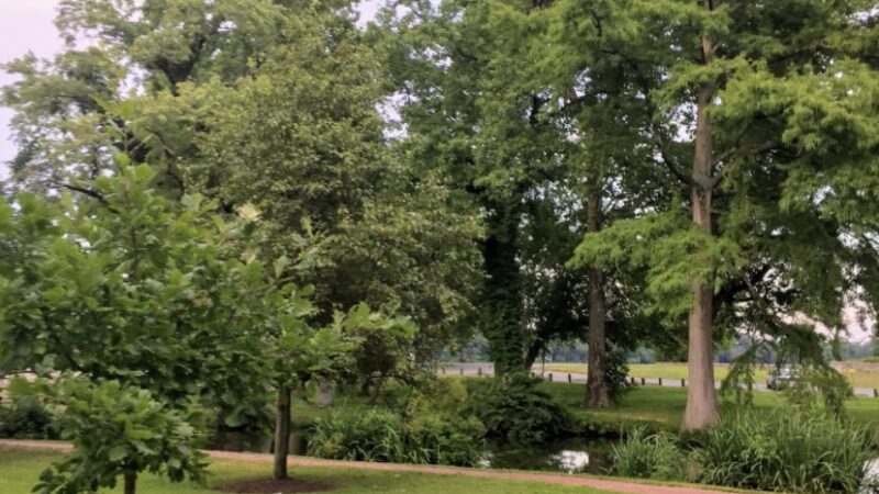 Janosik Park - Laurel, DE