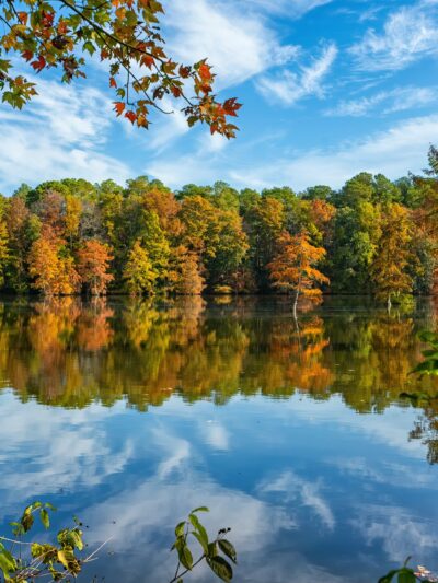 Trap Pond State Park - Laurel, DE