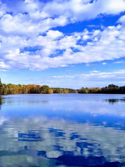 Trap Pond State Park - Laurel, DE