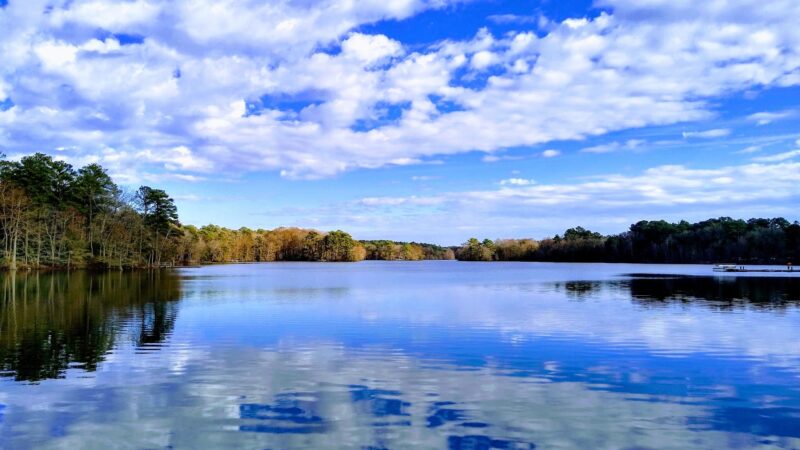 Trap Pond State Park - Laurel, DE