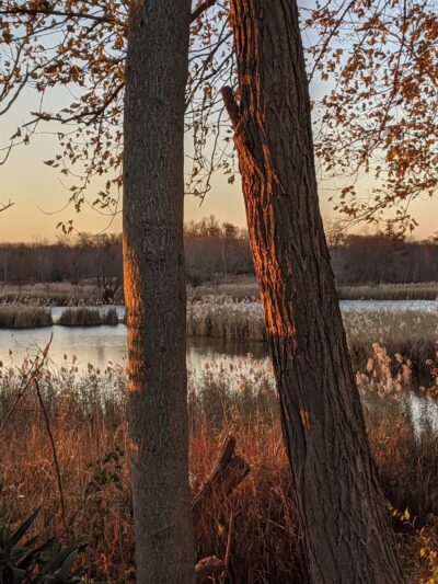 Laurence Harbor Memorial Park - Laurence Harbor, NJ