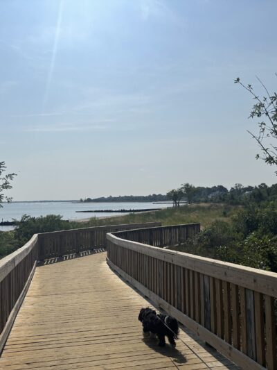 Laurence Harbor Memorial Park - Laurence Harbor, NJ