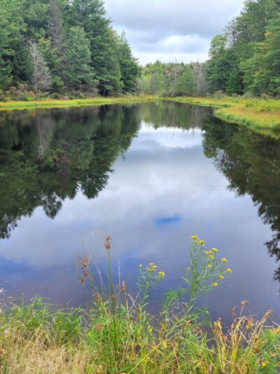 Gilbert Lake State Park - Laurens, NY