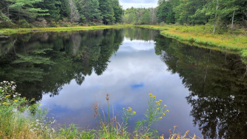 Gilbert Lake State Park - Laurens, NY