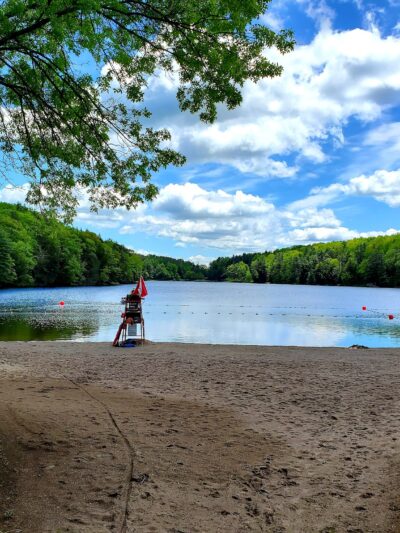 Gilbert Lake State Park - Laurens, NY