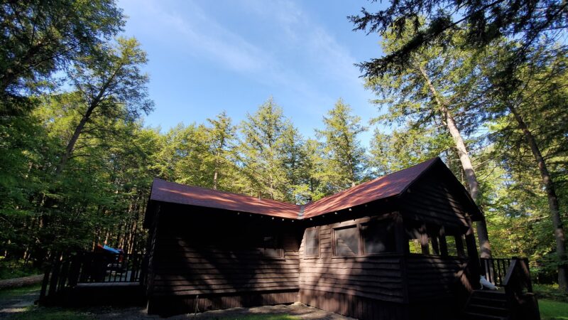 Gilbert Lake State Park - Laurens, NY