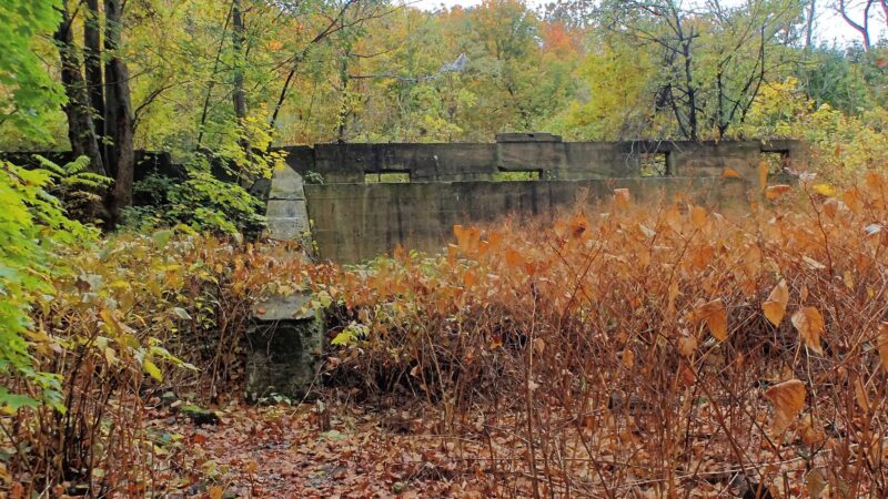 D&L Trail - River Dr Trailhead - Laurys Station, PA