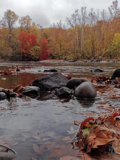 D&L Trail - River Dr Trailhead - Laurys Station, PA