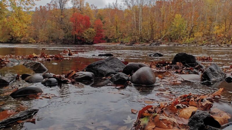 D&L Trail - River Dr Trailhead - Laurys Station, PA