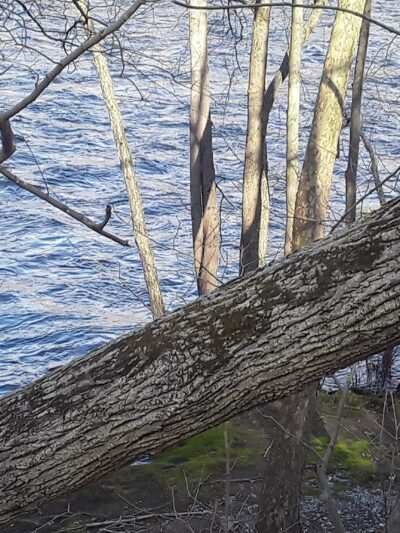 D&L Trail - River Dr Trailhead - Laurys Station, PA