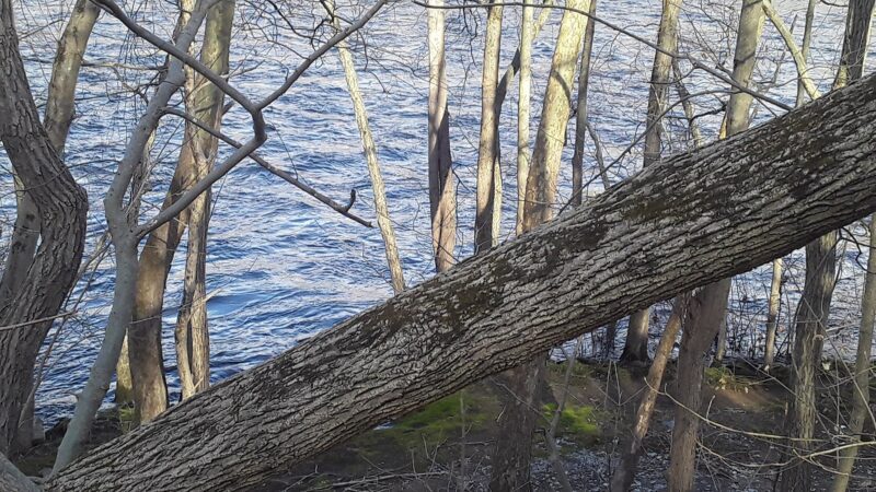 D&L Trail - River Dr Trailhead - Laurys Station, PA