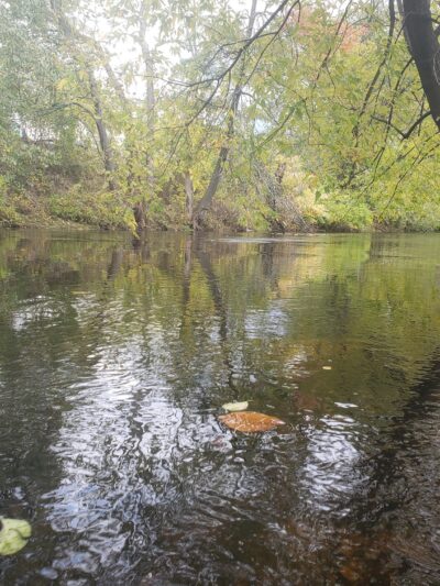 Lawrence Parks - Lawrence, MA