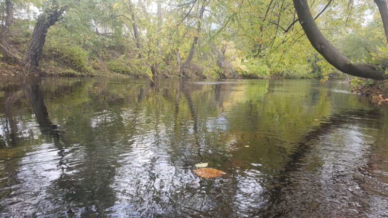 Lawrence Parks - Lawrence, MA