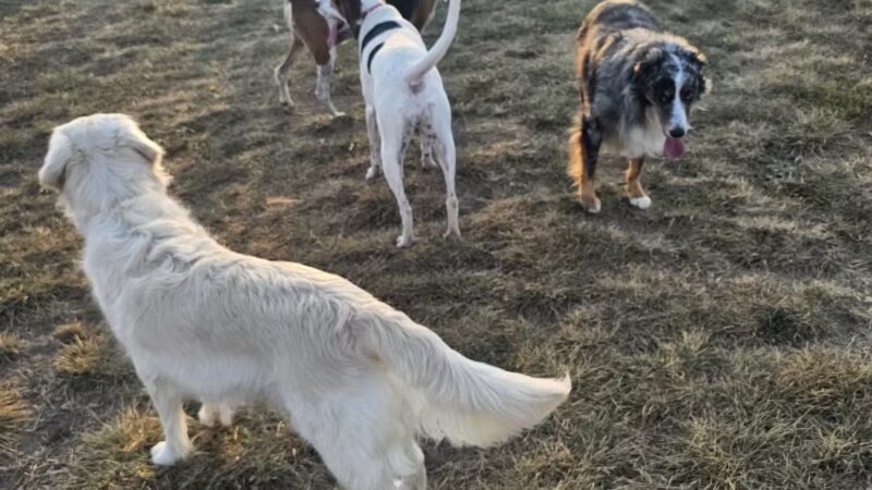 Friends of Lauren Hill Memorial Park - Lawrenceburg, IN