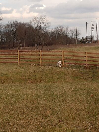 Friends of Lauren Hill Memorial Park - Lawrenceburg, IN