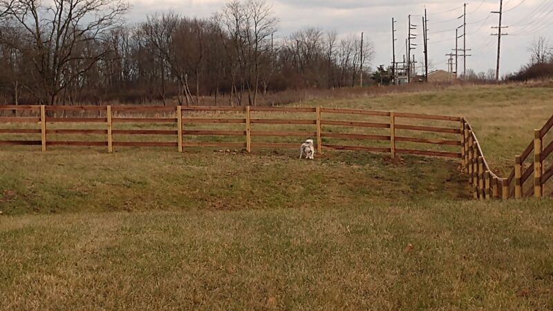 Friends of Lauren Hill Memorial Park - Lawrenceburg, IN