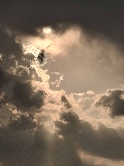 Medicine bark dog park - Lawton, OK