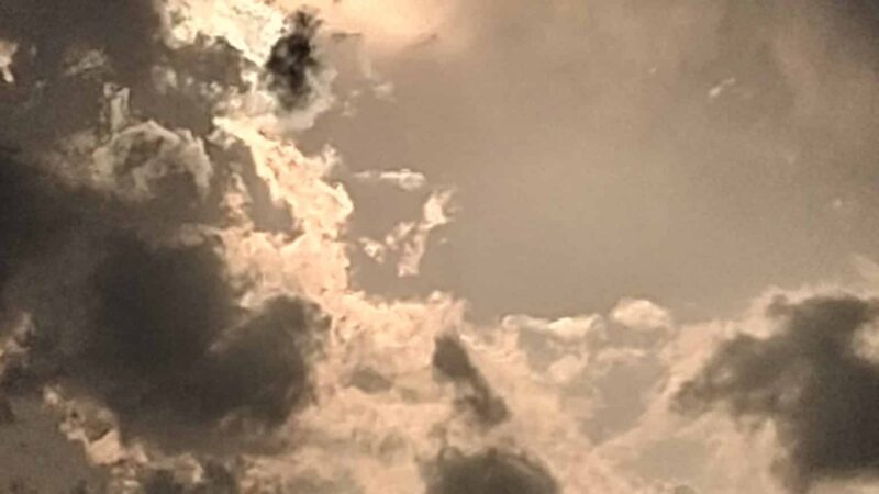 Medicine bark dog park - Lawton, OK