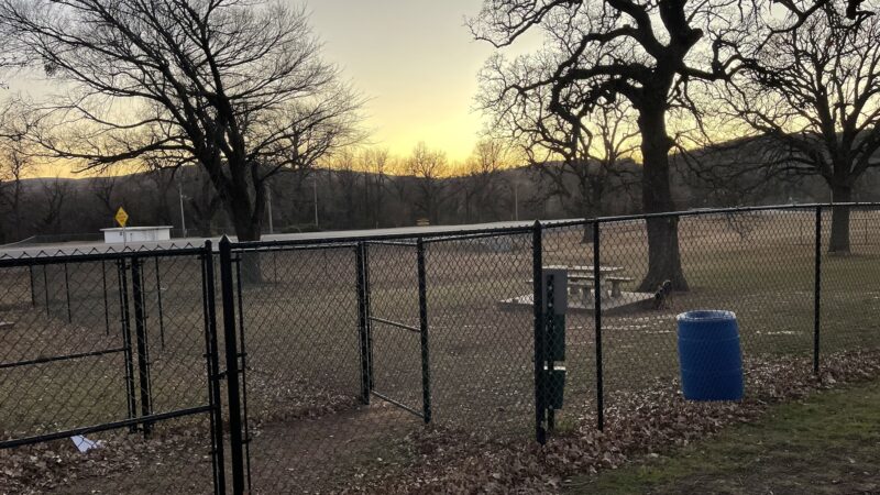 Medicine bark dog park - Lawton, OK