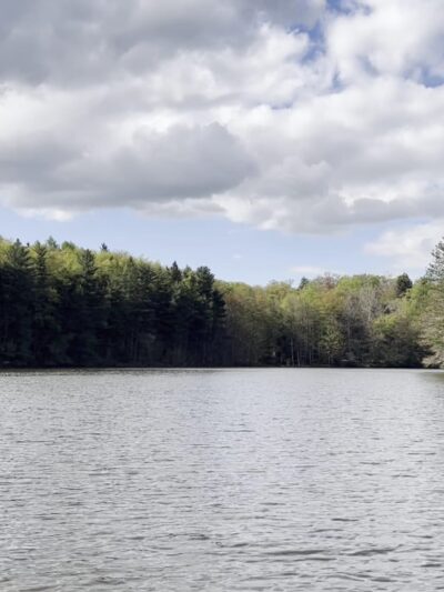 Clear Lake WMA - Lawtons, NY