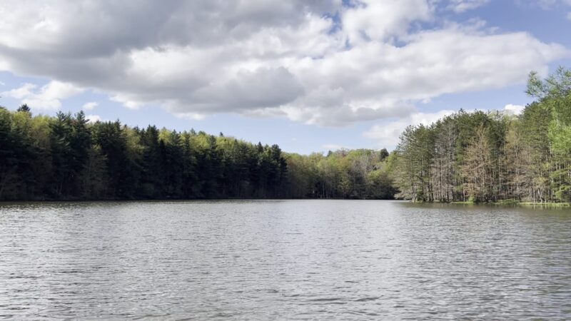 Clear Lake WMA - Lawtons, NY