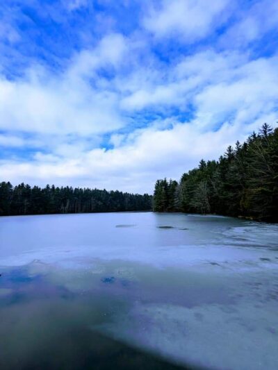 Clear Lake WMA - Lawtons, NY