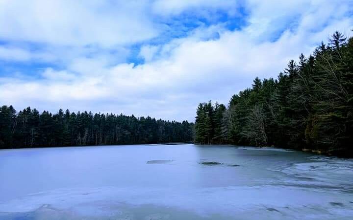 Clear Lake WMA - Lawtons, NY