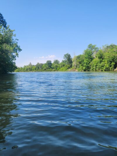 Clear Lake WMA - Lawtons, NY