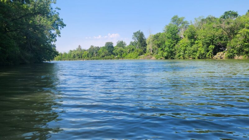 Clear Lake WMA - Lawtons, NY