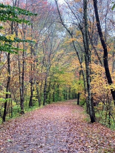 Air Line South State Park Trail (Lebanon Trailhead) - Lebanon, CT