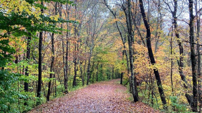 Air Line South State Park Trail (Lebanon Trailhead) - Lebanon, CT