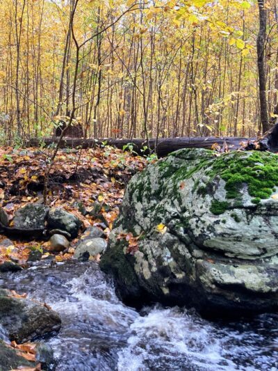 Air Line South State Park Trail (Lebanon Trailhead) - Lebanon, CT