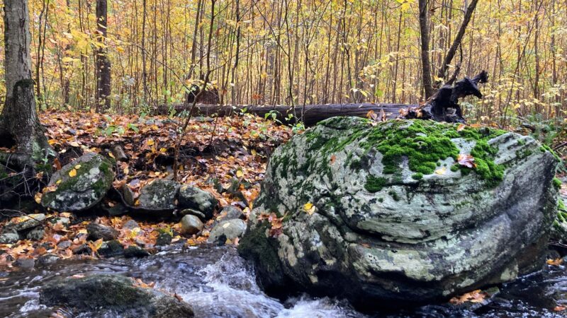 Air Line South State Park Trail (Lebanon Trailhead) - Lebanon, CT