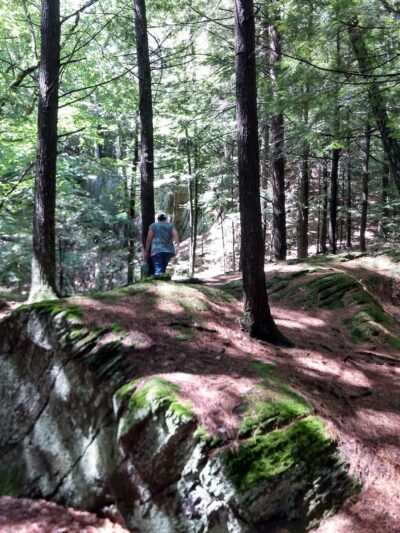 Gully Oven Park - Lebanon, ME