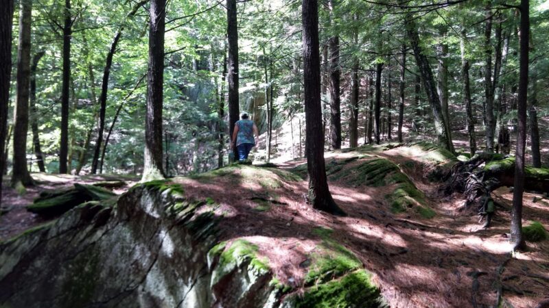 Gully Oven Park - Lebanon, ME