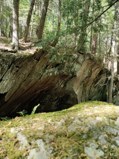Gully Oven Park - Lebanon, ME