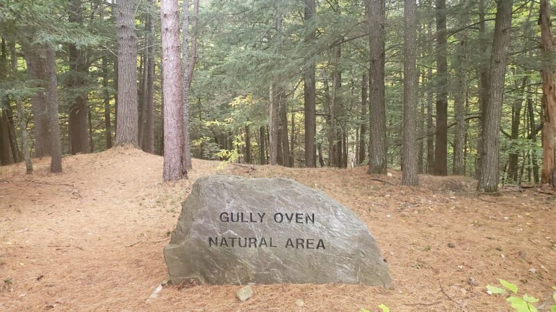 Gully Oven Park - Lebanon, ME
