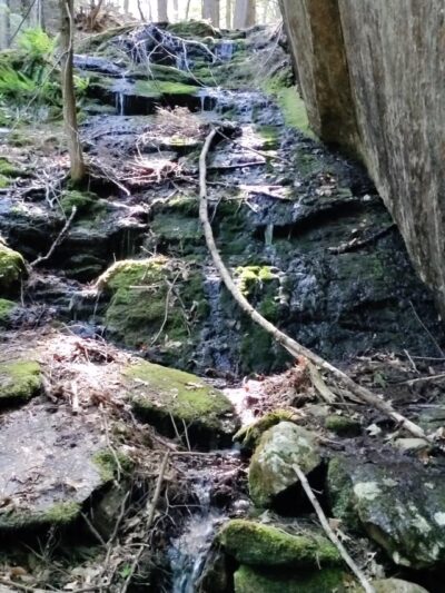 Gully Oven Park - Lebanon, ME